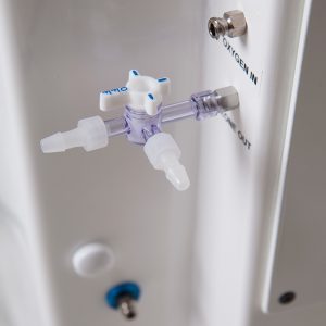 Steam Sauna Pro with Built-In Ozone Generator