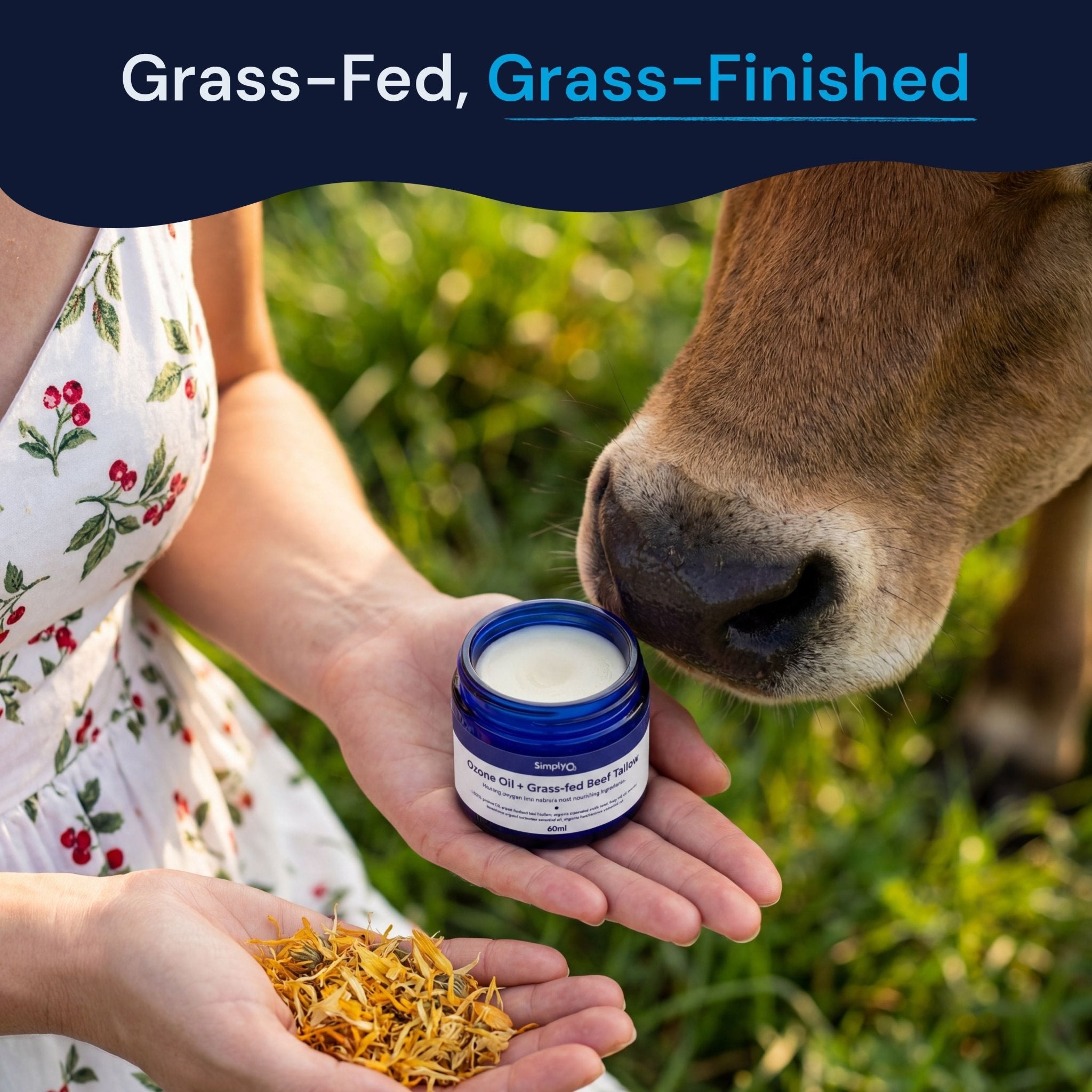 Beef Tallow + Ozone Oil Balm Beef Tallow + Ozone Oil Balm